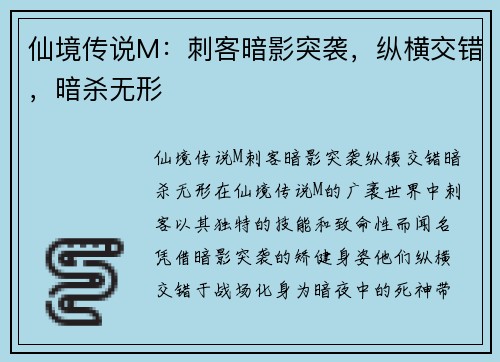 仙境传说M：刺客暗影突袭，纵横交错，暗杀无形